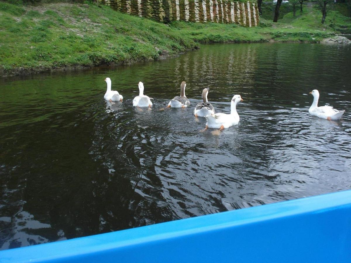 Riverside Resort Lansdowne Kültér fotó